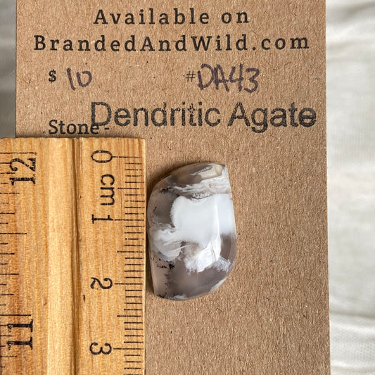 Dendritic Agate Cabochon - DA43 277DBED2-E12D-4DDD-968C-6127BFCF1ABC Brandedandwild.com
