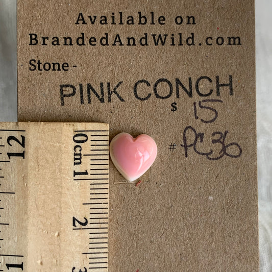 Pink Conch Cabochon - PC36