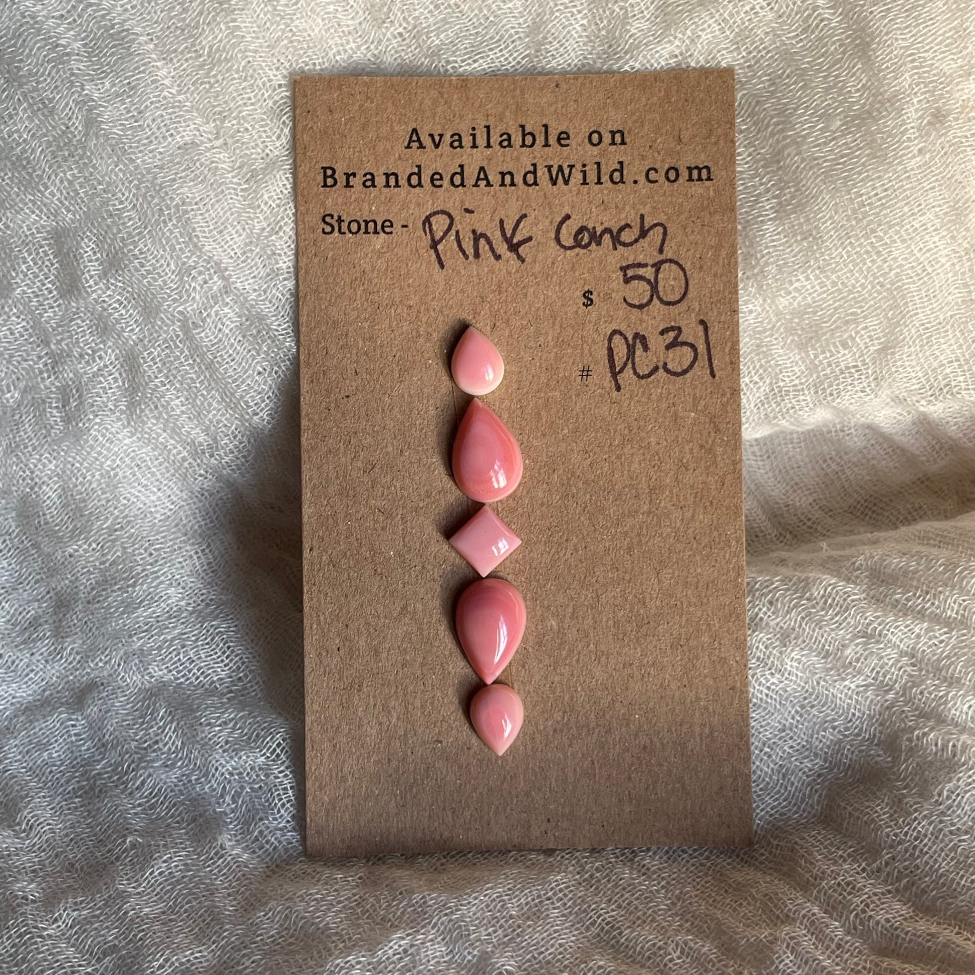Pink Conch Cabochon - PC31 27C32A6E-7D45-4C31-9122-8FFD2B756F6D Brandedandwild.com