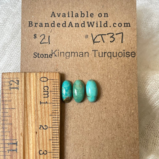 Kingman Turquoise Cabochon - KT37 27E77EF5-60D2-4EAC-9DB5-2CCE3F0B0558 Brandedandwild.com