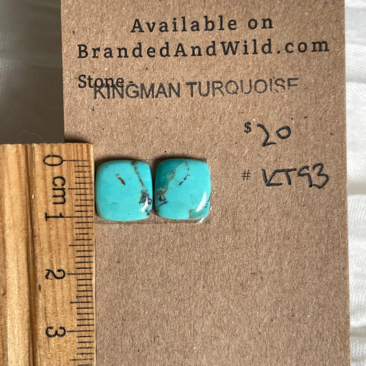 Kingman Turquoise Cabochon - KT93 2813A997-2964-402D-A2A8-65BFADB13690 Brandedandwild.com