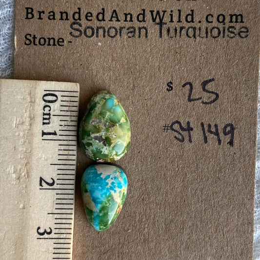 Sonoran Turquoise Cabochon - ST149