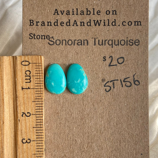 Sonoran Turquoise Cabochon - ST156 283DFE94-BD5D-4EED-A6DF-3D9AAF84F462 Brandedandwild.com