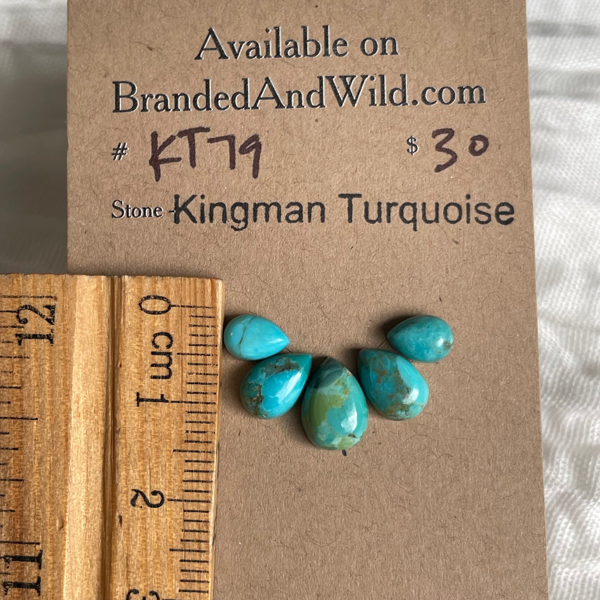 Kingman Turquoise Cabochon - KT79 28588ECE-2FAB-481F-AC3F-838028B12C97 Brandedandwild.com