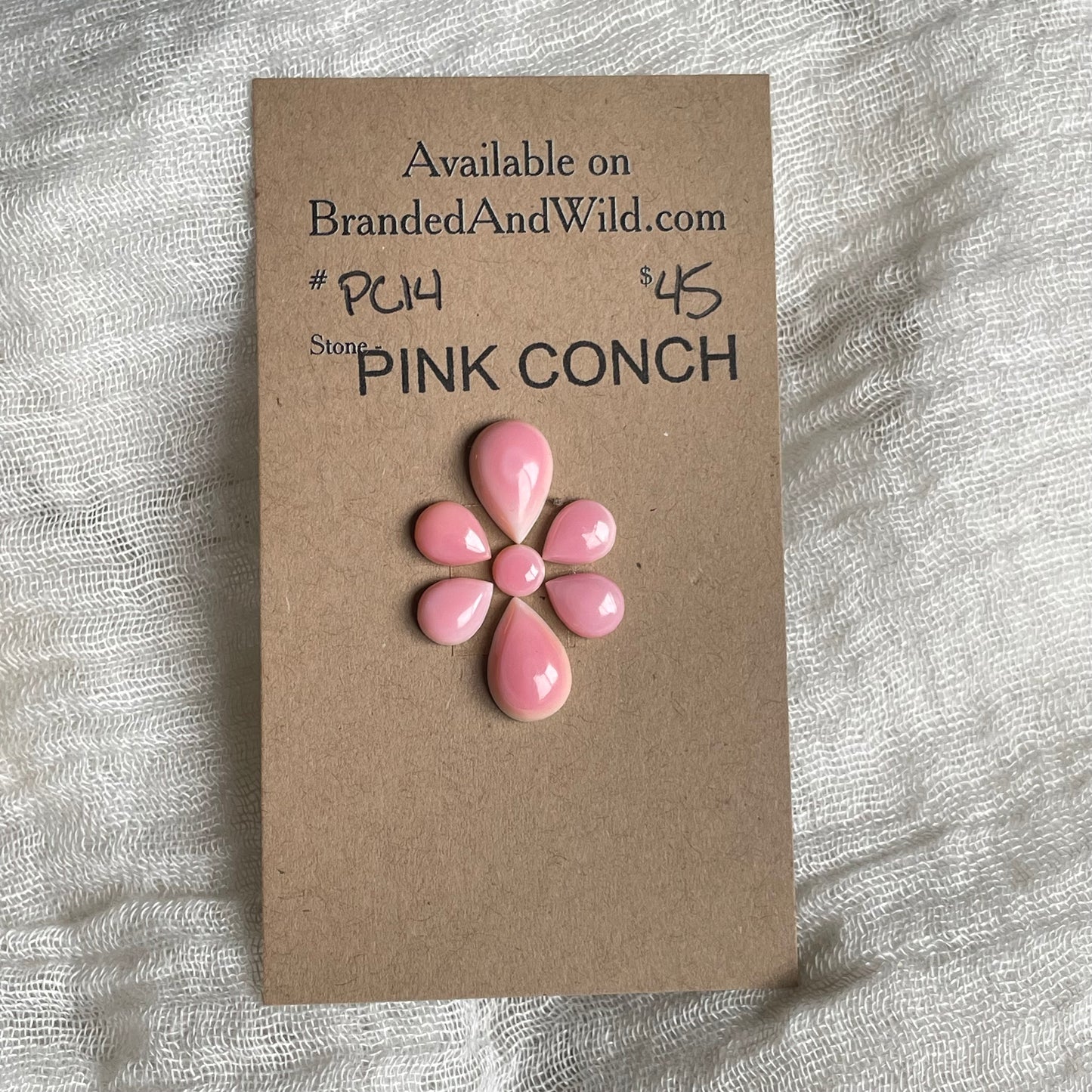 Pink Conch Cabochon - PC14 28627AB8-9663-49CE-BBB5-0D979F890E2F Brandedandwild.com