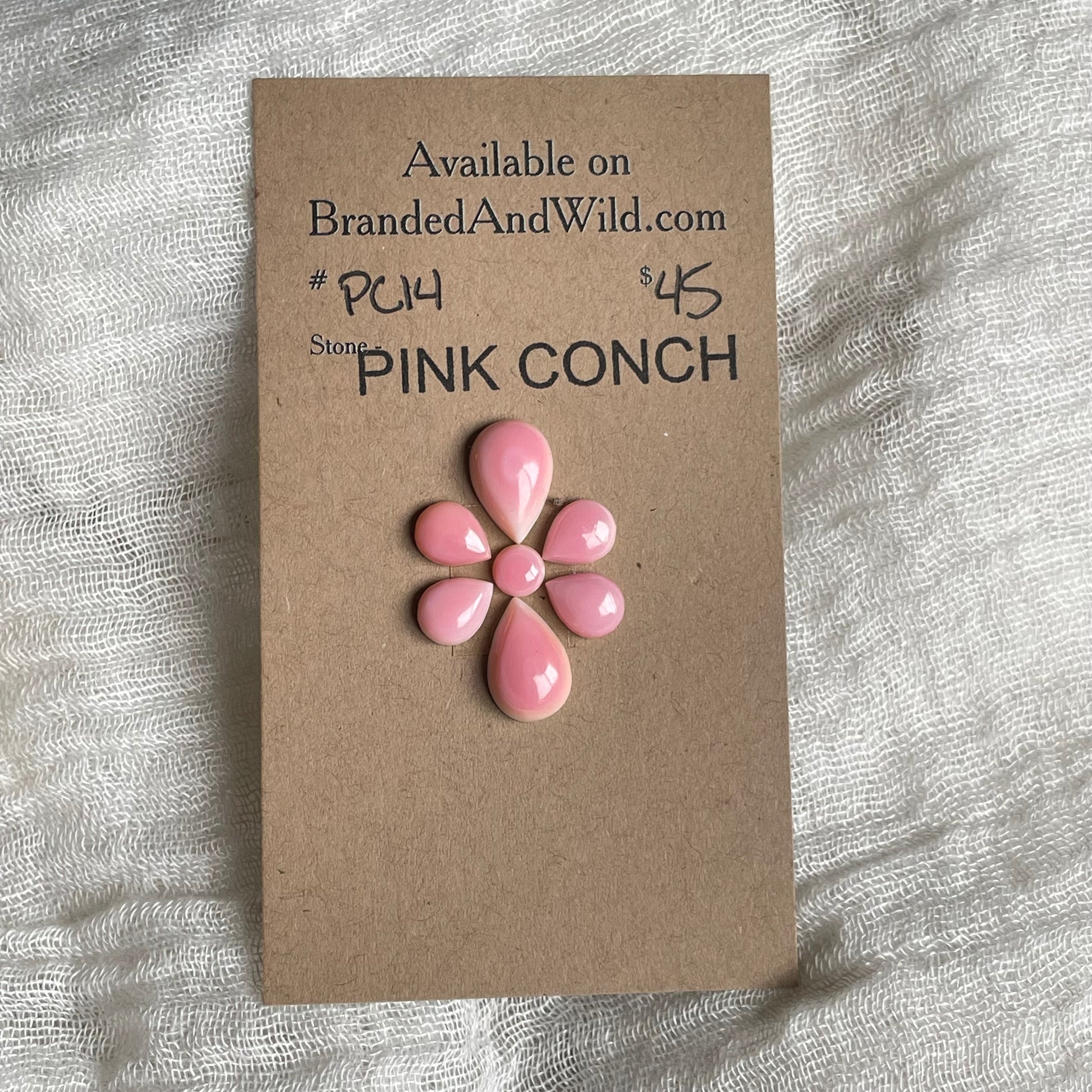 Pink Conch Cabochon - PC14 28627AB8-9663-49CE-BBB5-0D979F890E2F Brandedandwild.com