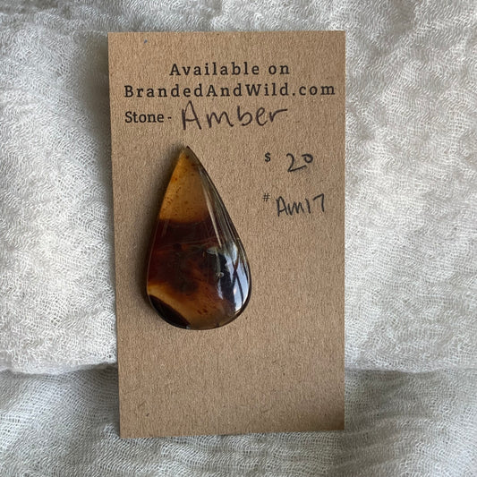 Amber Cabochon AM17