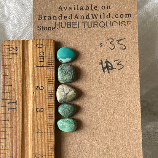 Hubei Turquoise Cabochon - H23 28C32AEC-4252-4E7F-A673-E136A18519D5 Brandedandwild.com