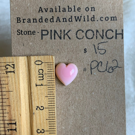 Pink Conch Cabochon - PC62