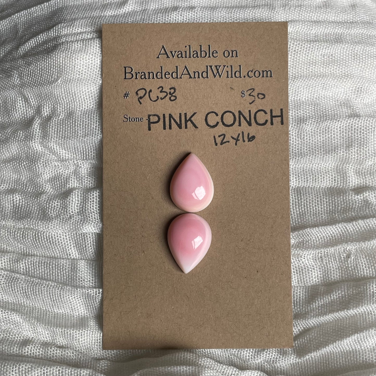 Pink Conch Cabochon - PC38 28FD62CE-AA67-4E3C-A539-8855A93C791D Brandedandwild.com