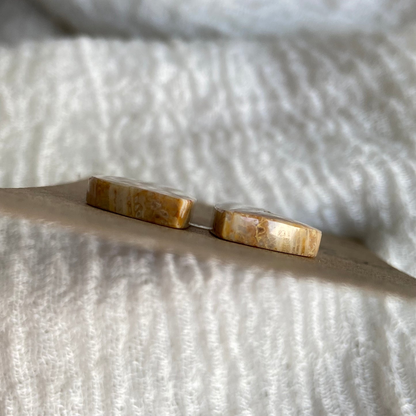 Fossil Coral Cabochon - FC22