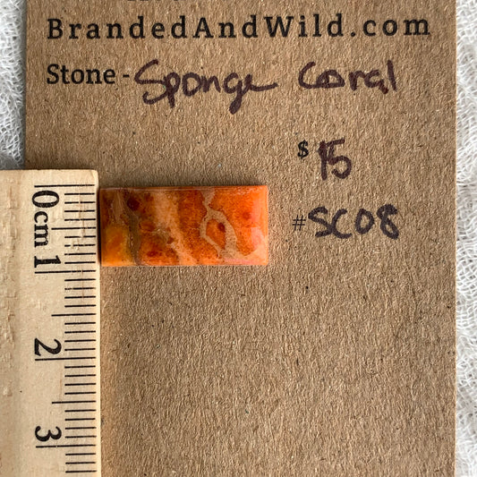 Sponge Coral Cabochon - SC08