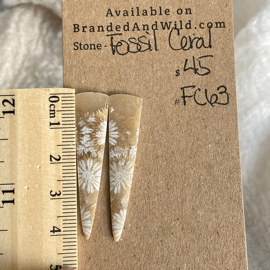 Fossil Coral Cabochon - FC63