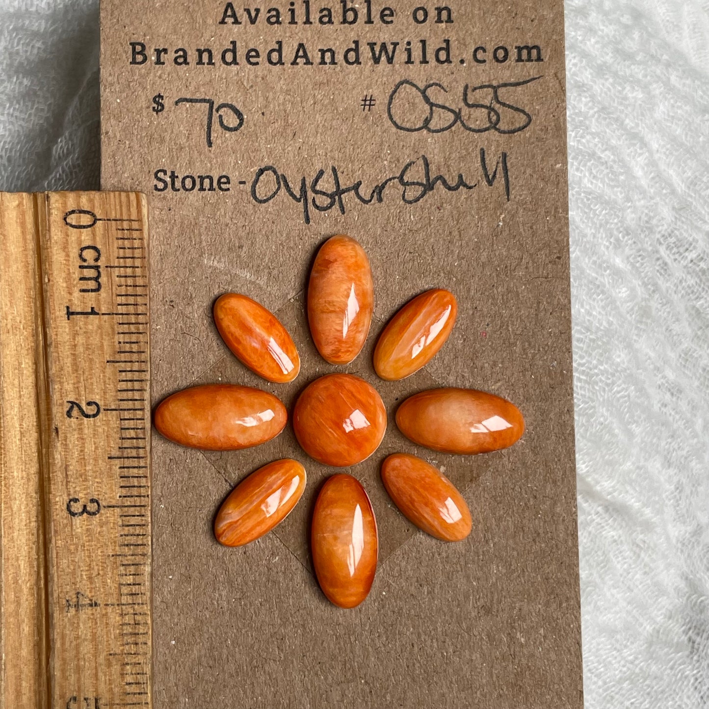Oyster Shell Cabochon - OS55