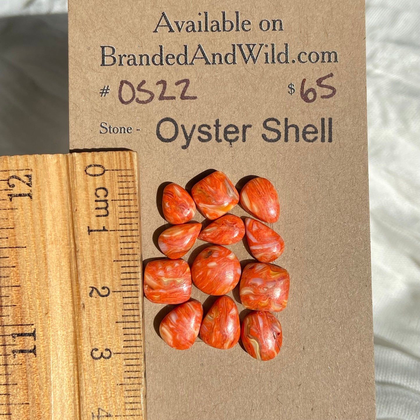 Oystershell Cabochon - OS22 2933A77C-58E2-4E63-96FE-C79B4395D43D Brandedandwild.com