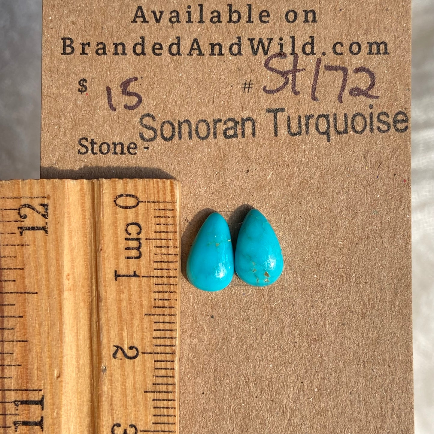 Sonoran Turquoise Cabochon - ST172