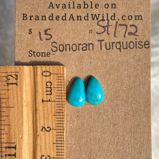 Sonoran Turquoise Cabochon - ST172