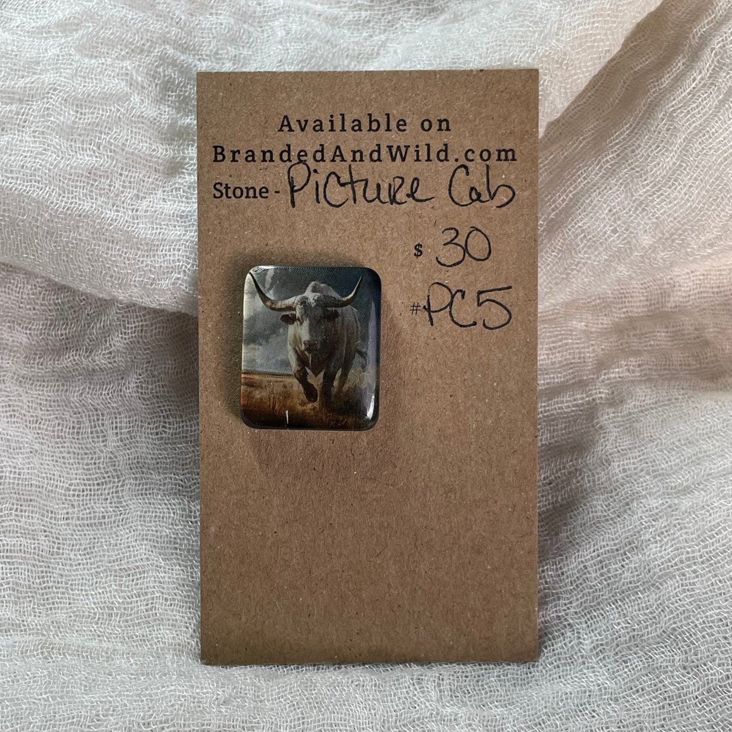 Picture Cabochon - Cabochon - PC5 297A5CF1-A954-41E9-A0F0-FA79AEA3349C Brandedandwild.com