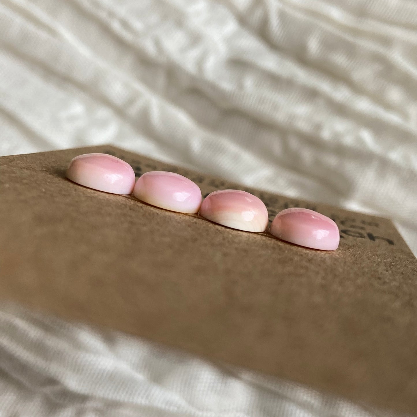 Pink Conch Cabochon - PC76