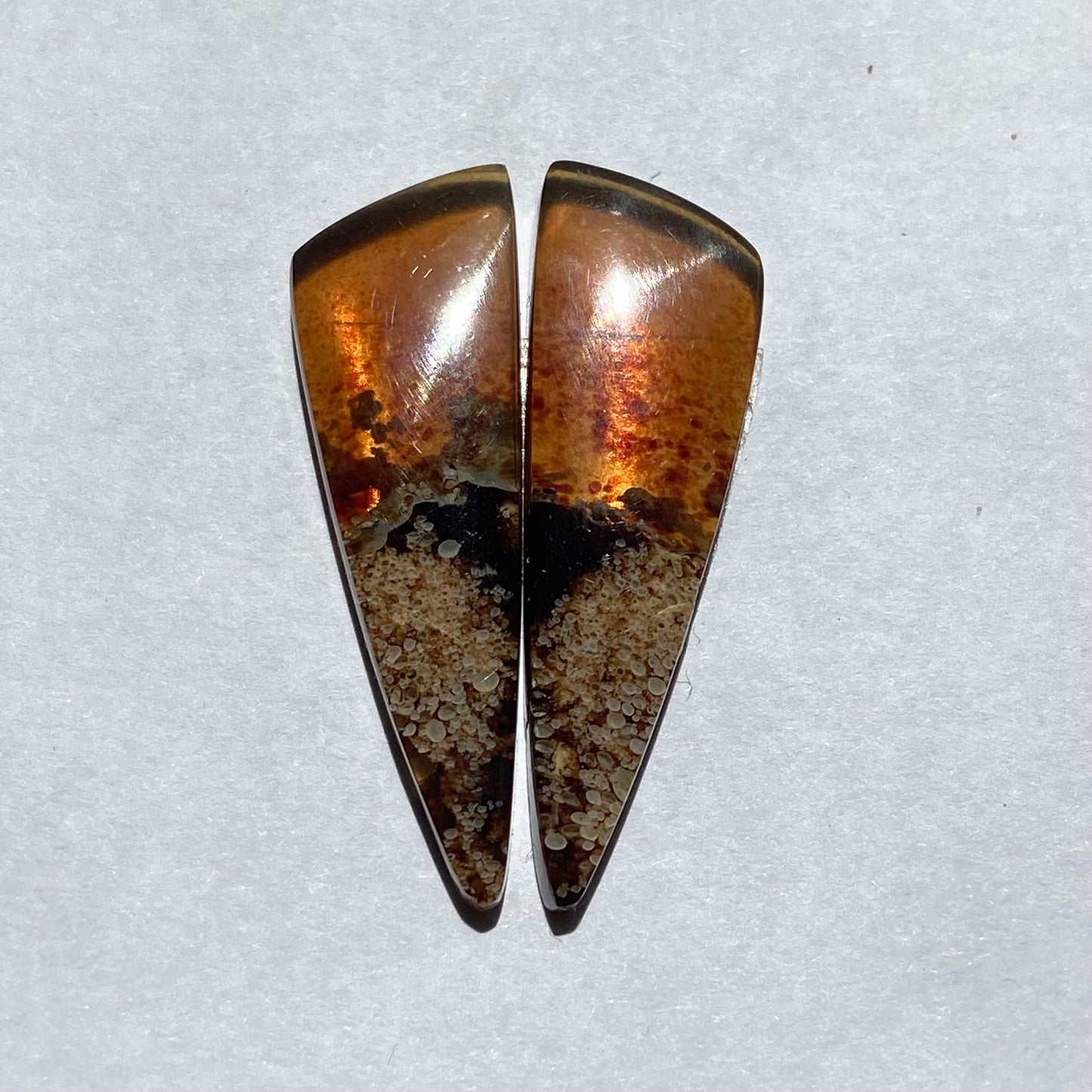 Amber Cabochon AM75