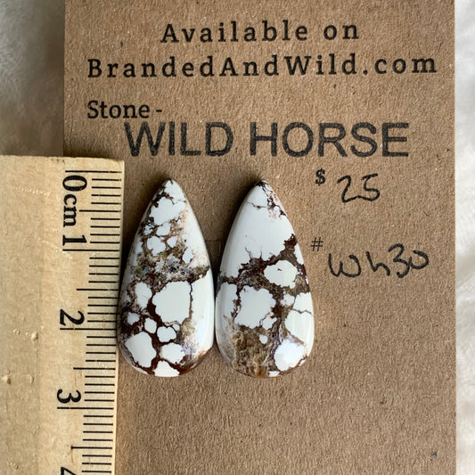 Wild Horse Cabochon - WH30