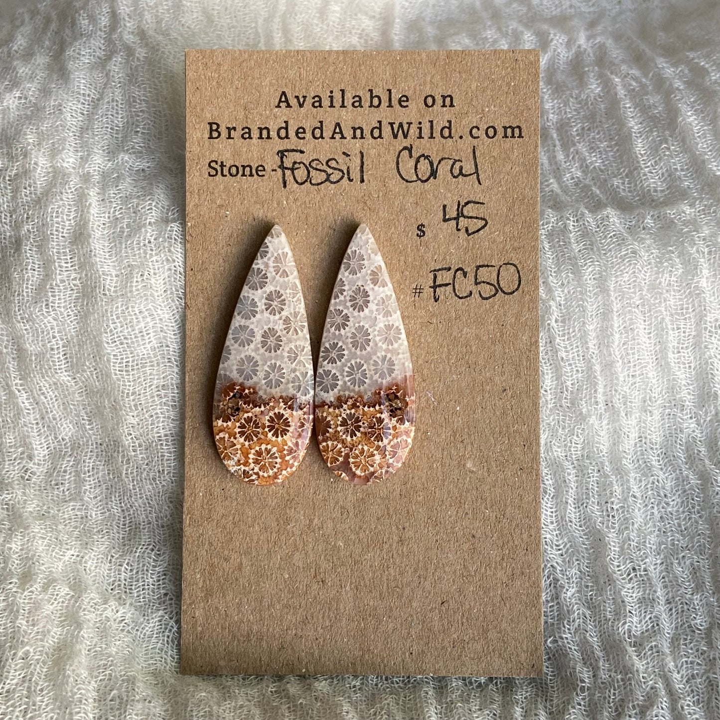 Fossil Coral Cabochon - FC50