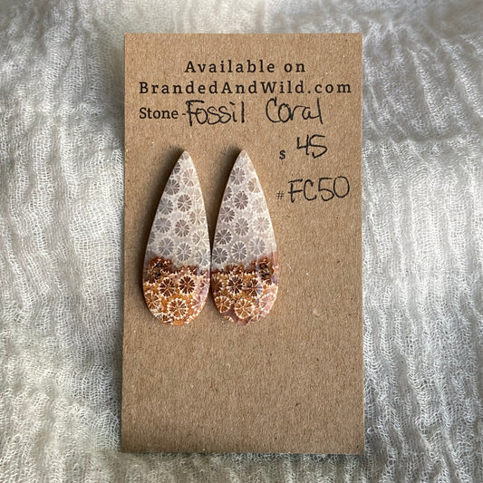 Fossil Coral Cabochon - FC50
