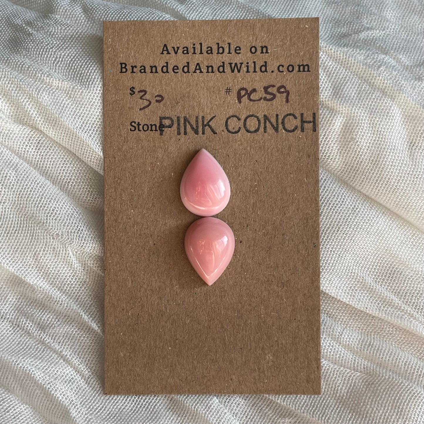 Pink Conch Cabochon - PC59 29F40967-FD3C-421F-87F1-1905BE1B8483 Brandedandwild.com