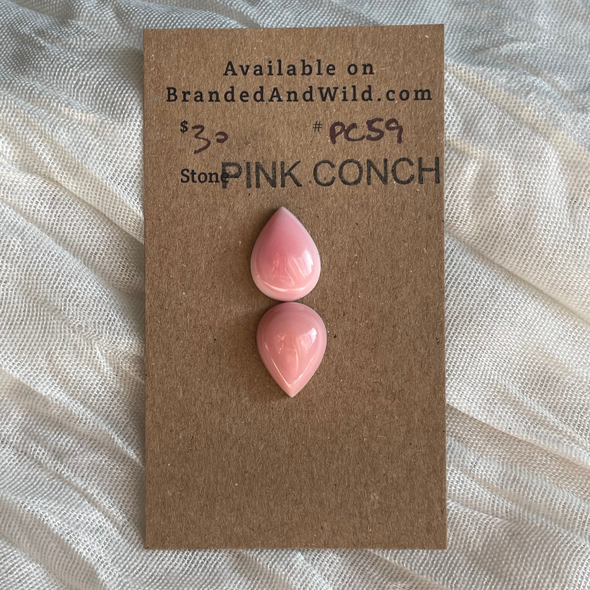 Pink Conch Cabochon - PC59 29F40967-FD3C-421F-87F1-1905BE1B8483 Brandedandwild.com