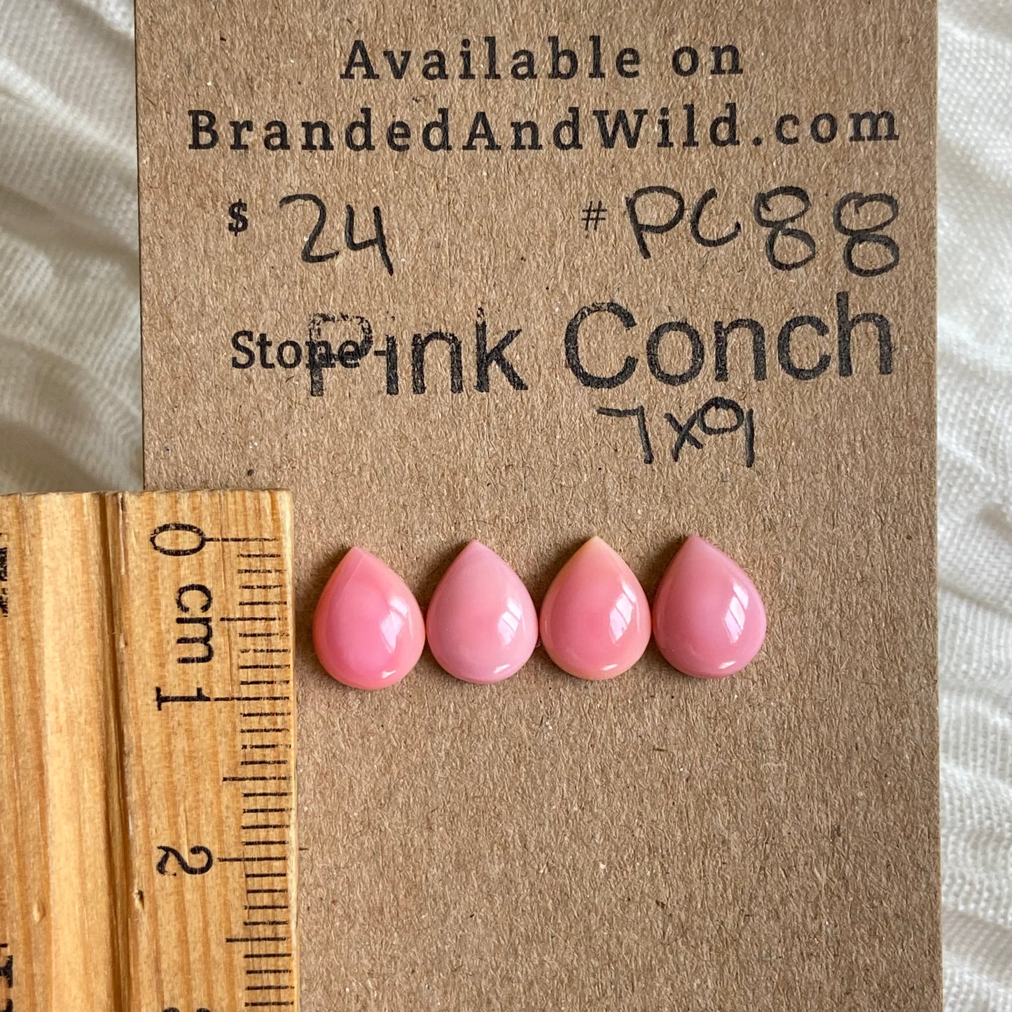 Pink Conch Cabochon - PC88