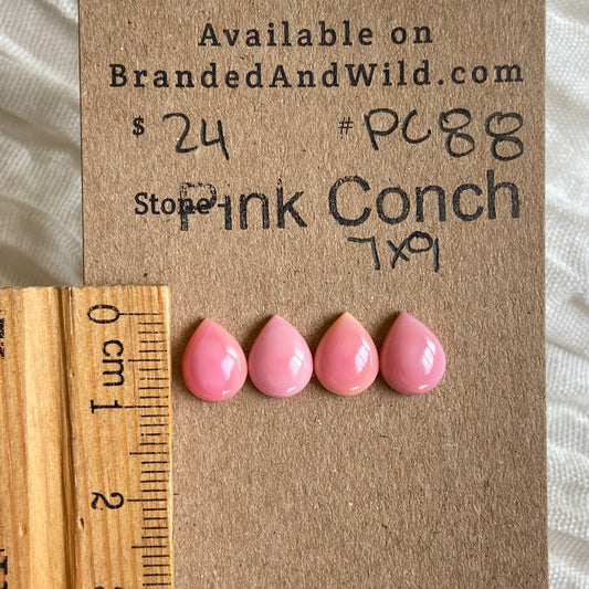 Pink Conch Cabochon - PC88 29FBB184-F63B-4885-802C-B95BB1502B37 Brandedandwild.com