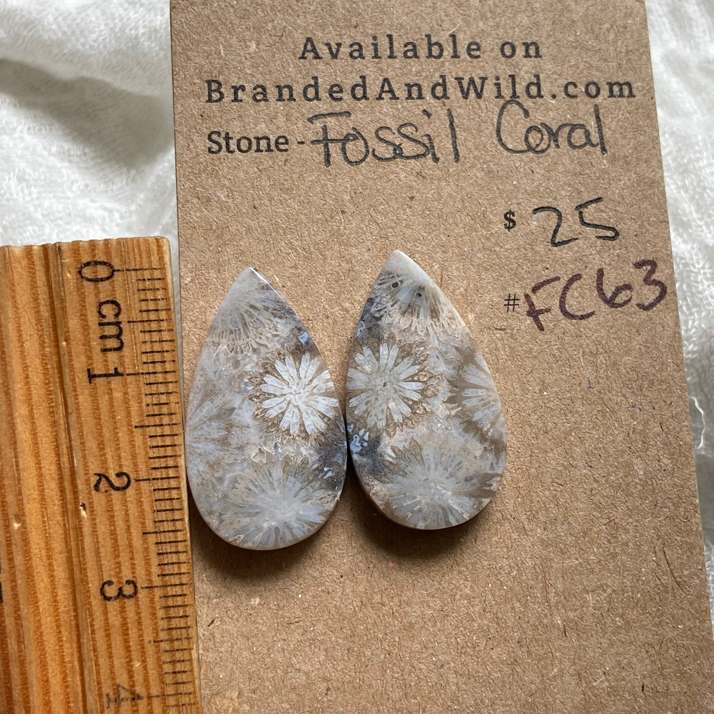 Fossil Coral Cabochon - FC63
