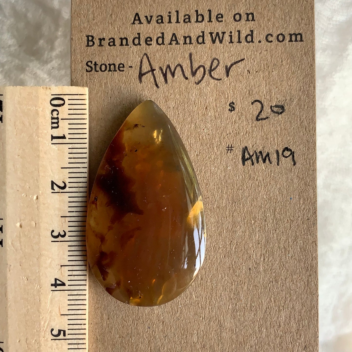 Amber Cabochon AM19