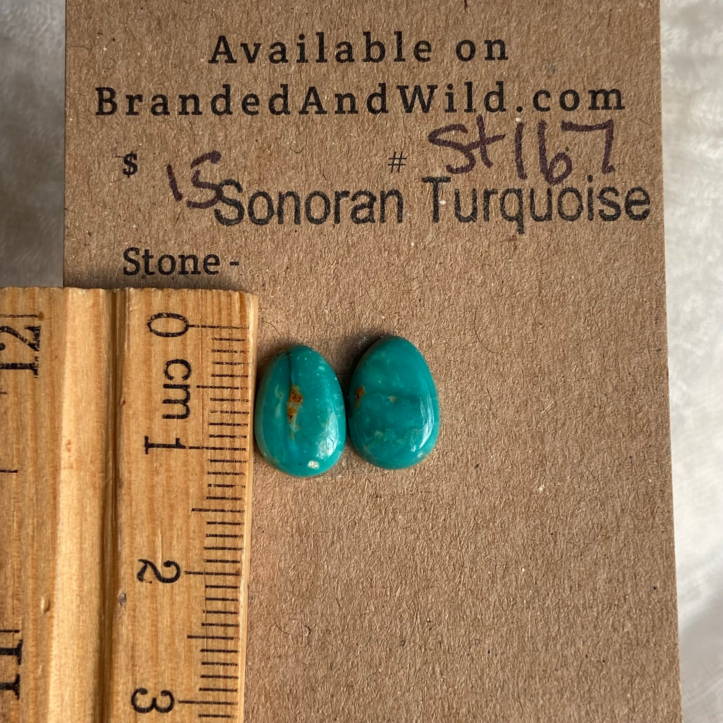 Sonoran Turquoise Cabochon - ST167