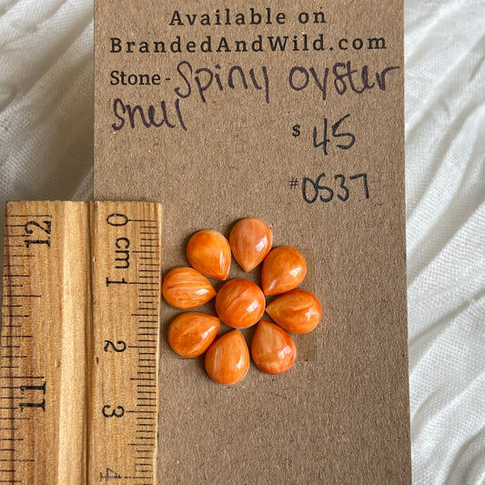 Oystershell Cabochon - OS37 2A4766D5-5C55-4CA2-B93A-33C214B45D02 Brandedandwild.com