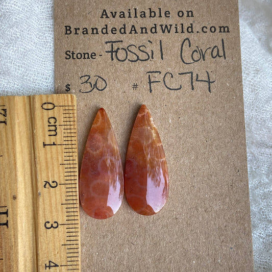 Fossil Coral Cabochon - FC74