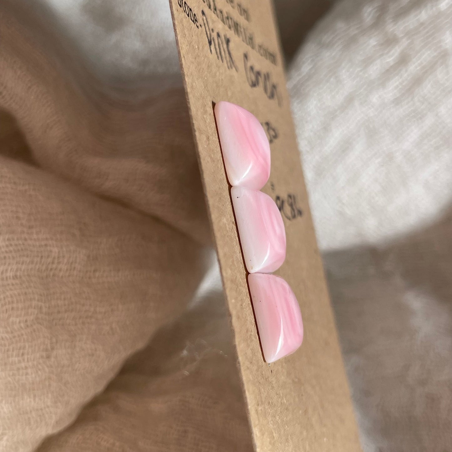 Pink Conch Cabochon - PC86 2A713ED1-4890-4689-AE6C-DA941206C81C Brandedandwild.com