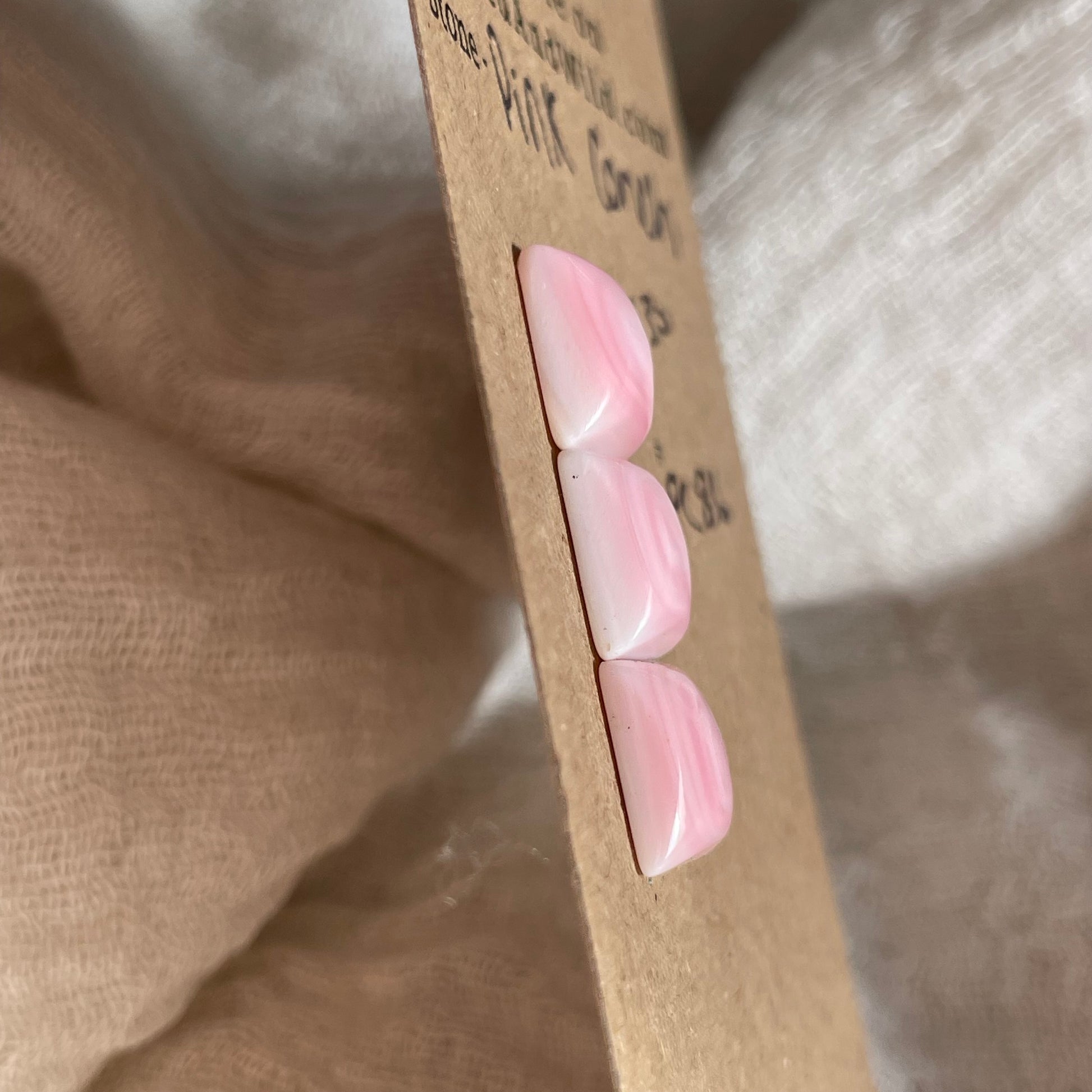 Pink Conch Cabochon - PC86 2A713ED1-4890-4689-AE6C-DA941206C81C Brandedandwild.com