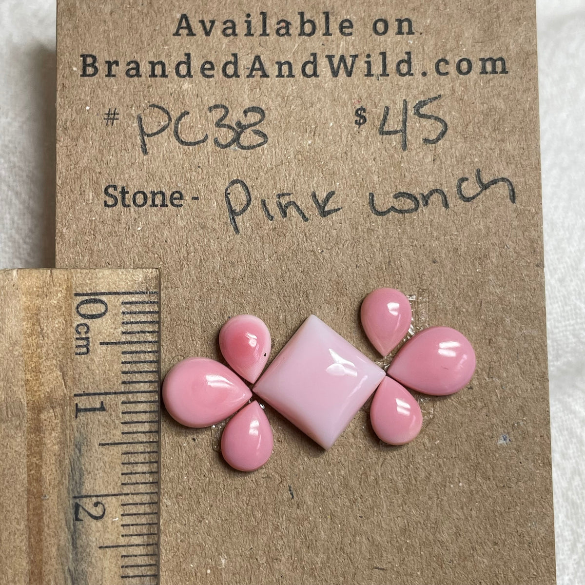 Pink Conch Cabochon - PC38 2A734C82-3860-4368-9945-62DB793740A9 Brandedandwild.com