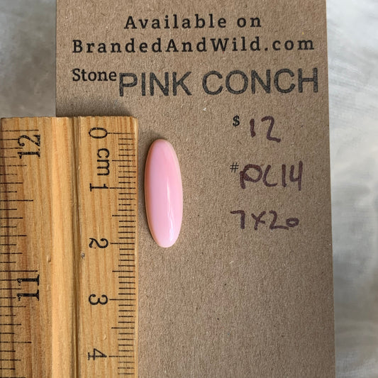 Pink Conch Cabochon - PC14