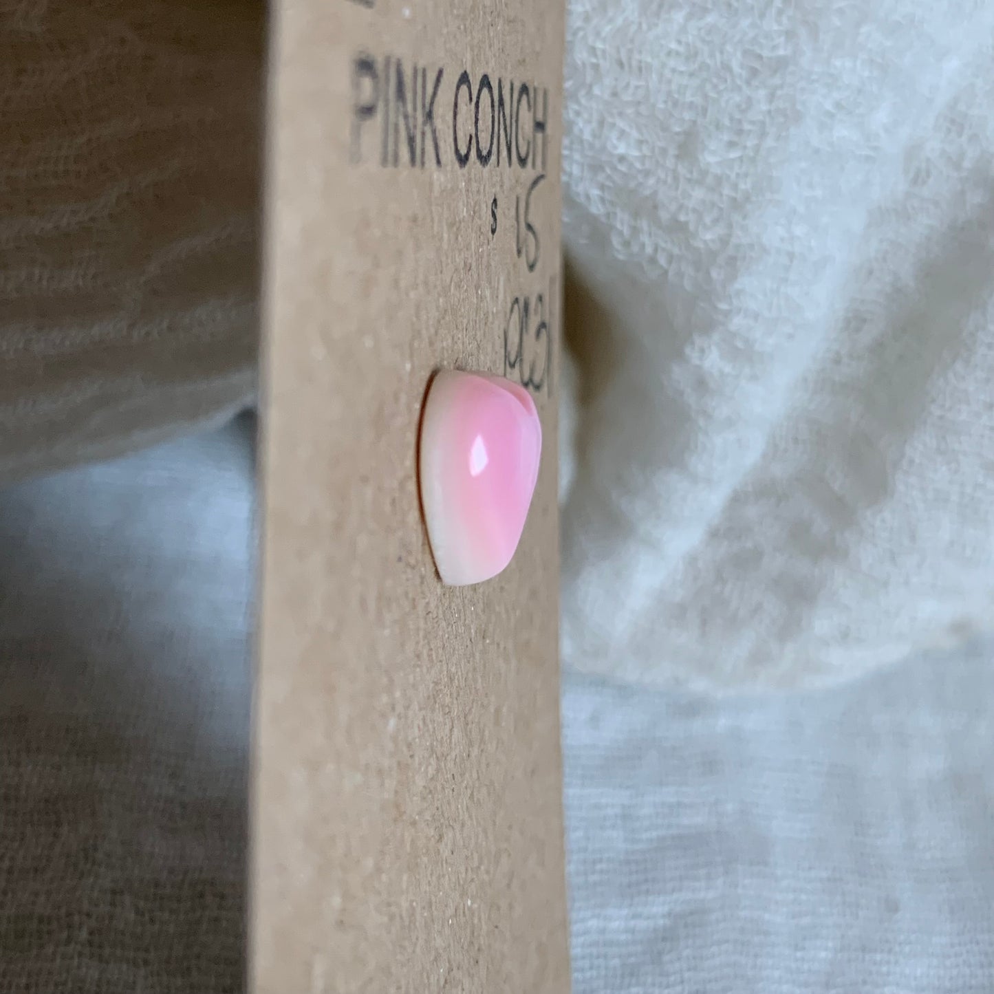 Pink Conch Cabochon - PC31