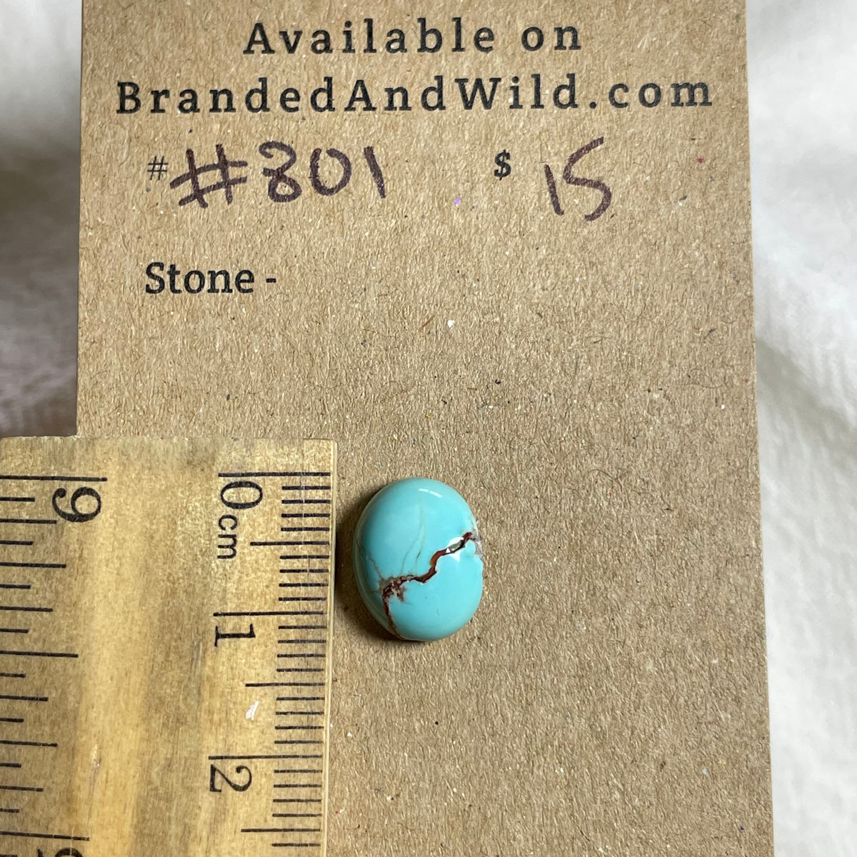 #8 Turquoise Cabochon - #801