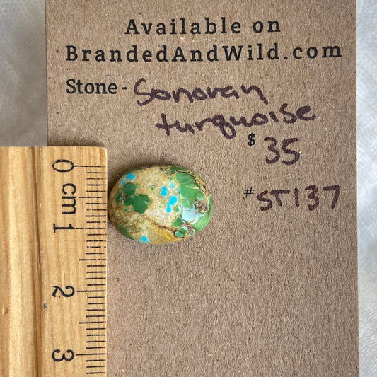 Sonoran Turquoise Cabochon - ST137