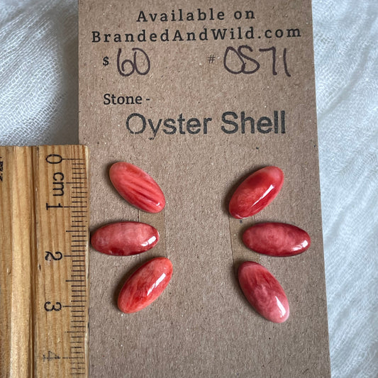 Oyster Shell Cabochon - OS71 2AD1C90C-97C8-4A89-8D41-60BA9504F39A Brandedandwild.com