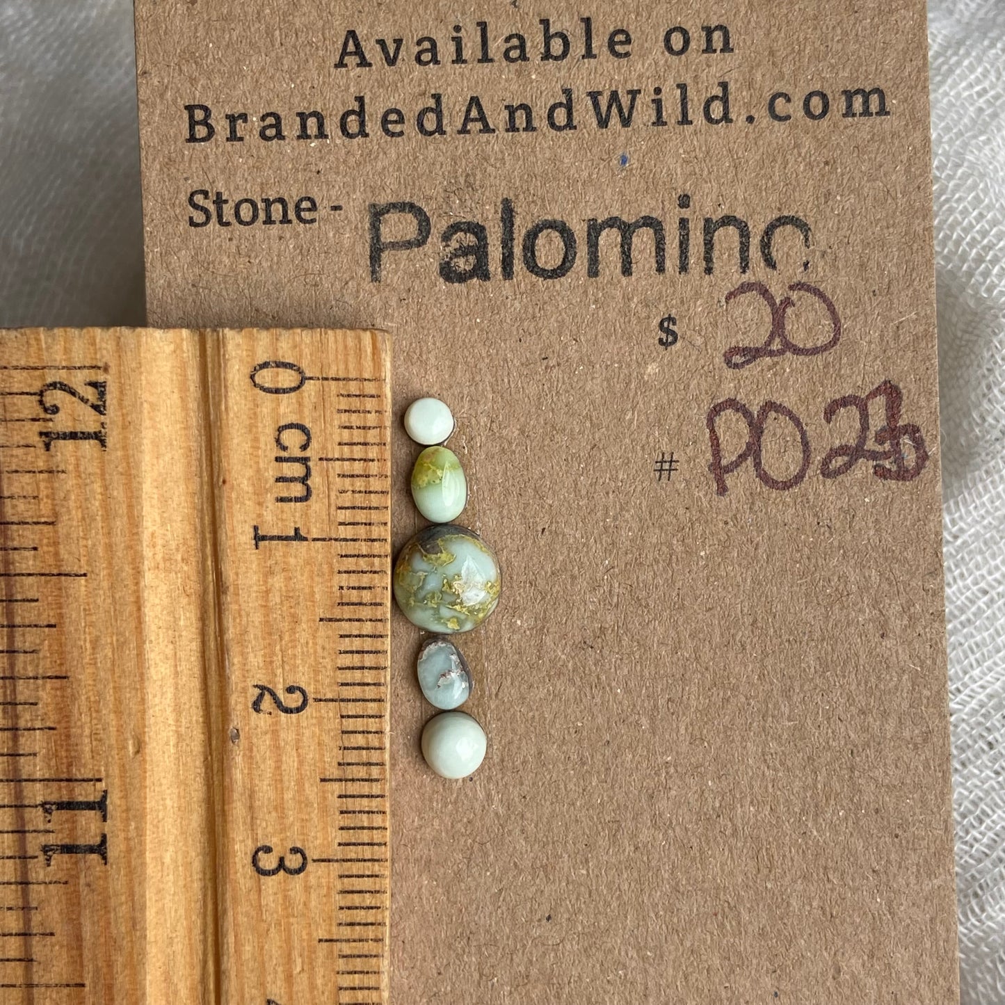 Palomino Cabochon - P023