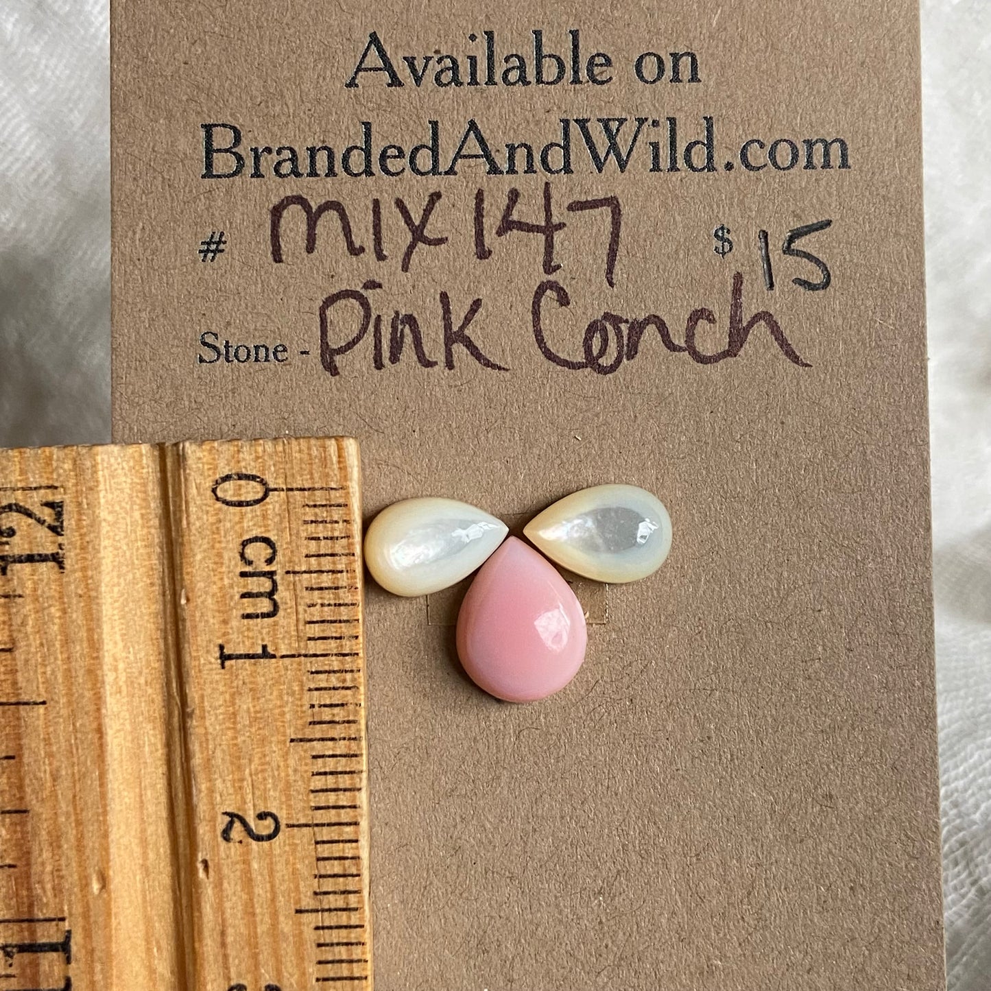 Pink Conch Mix Cabochon - MIX147 2ADB186A-B0FA-4786-A4E3-3AFF56B5467D Brandedandwild.com