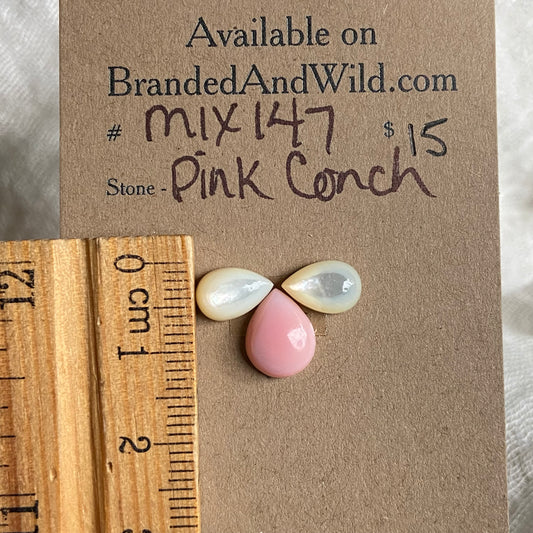 Pink Conch Mix Cabochon - MIX147 2ADB186A-B0FA-4786-A4E3-3AFF56B5467D Brandedandwild.com