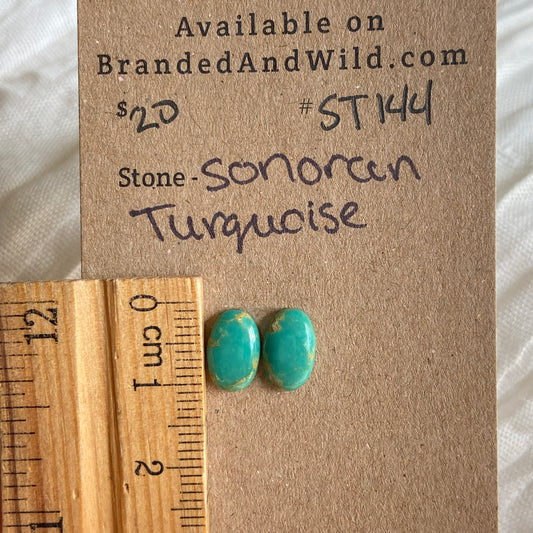 Sonoran Turquoise Cabochon - ST144 2AE1C1FB-261E-4931-B8EE-921437C762C7 Brandedandwild.com
