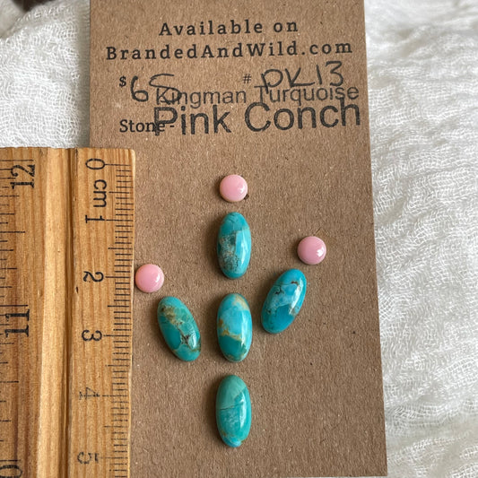Pink Conch / Kingman Turquoise Cabochon - PK13