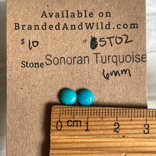 Sonoran Turquoise Cabochon - ST02 2B1E7B92-1A7A-4068-9B33-931B9EE69F31 Brandedandwild.com